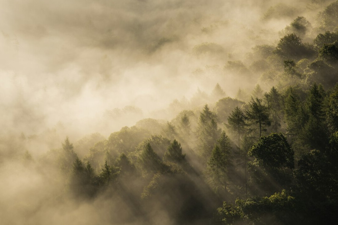 Wooden stilt houses palafitos in the mist on Chiloé island, Chile
