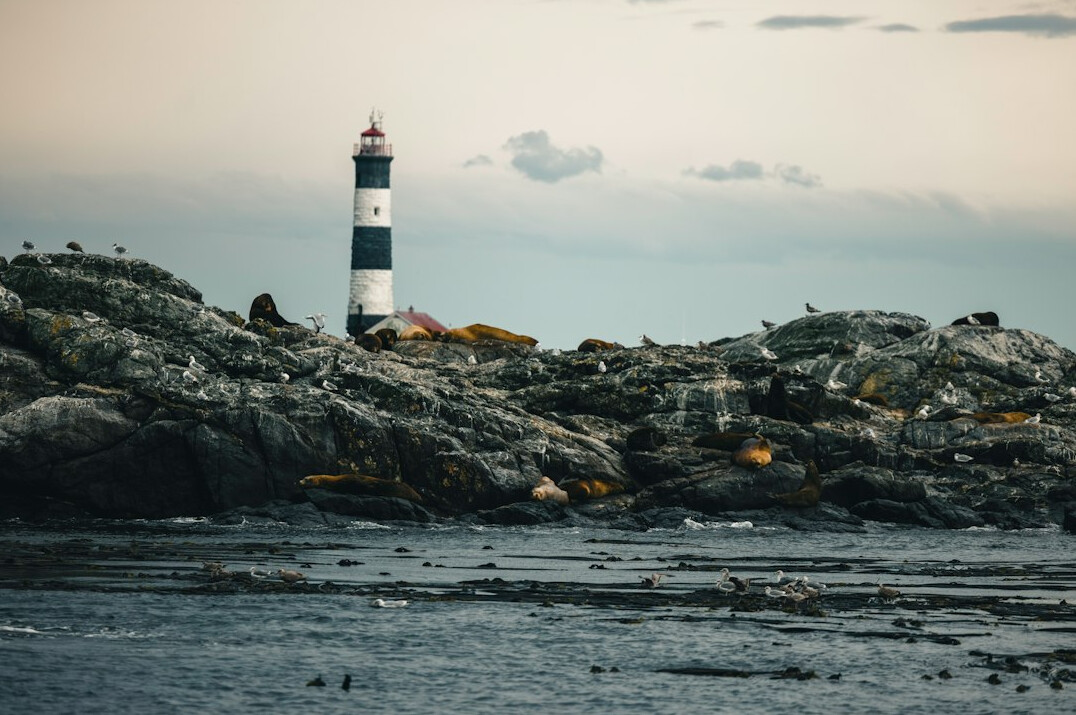 abandoned lighthouse on rocky coast